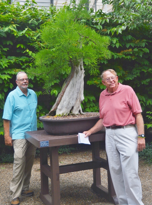 at the botanical gardens